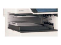 Ricoh SH3070 - Bac de tri par décalage - 250 feuilles 416550